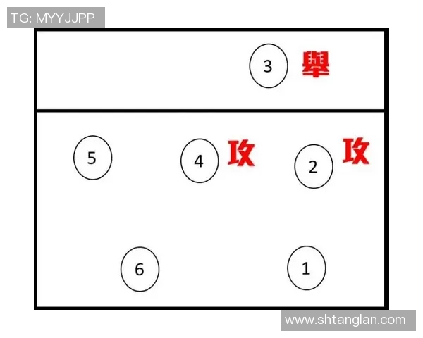 上海乒乓球队进攻战术解析与未来发展趋势探讨