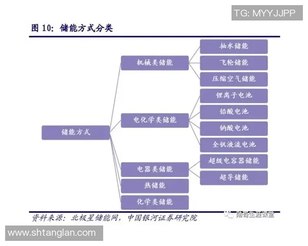 南京排球队在大师赛中的实力展现与未来发展潜力分析 南京排球队在大师赛中的实力展现与未来发展潜力分析