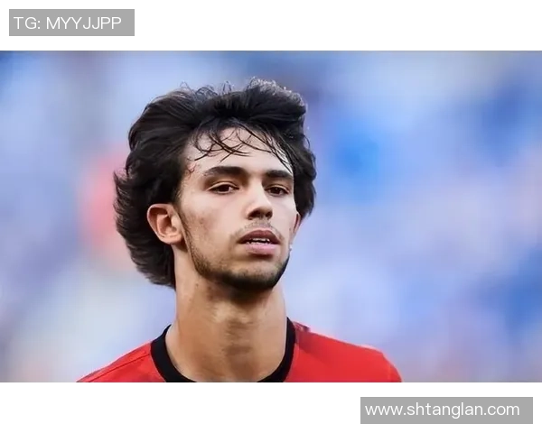 哲学家与足球明星的奇妙碰撞探讨思想与运动的交融之美