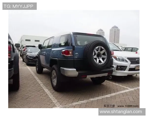 武汉羽毛球队在洲际杯积分榜上以91分稳居第一名展现强劲实力