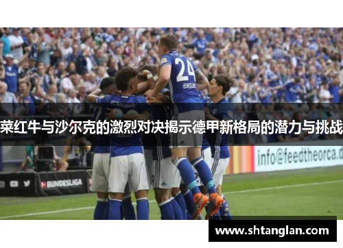 菜红牛与沙尔克的激烈对决揭示德甲新格局的潜力与挑战