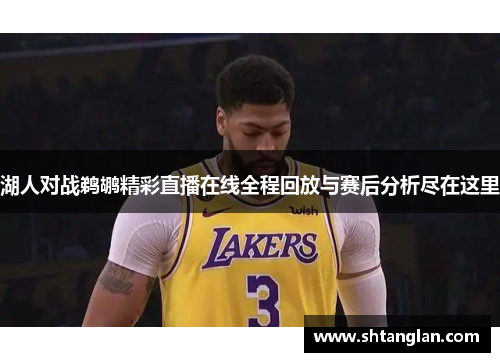 湖人对战鹈鹕精彩直播在线全程回放与赛后分析尽在这里
