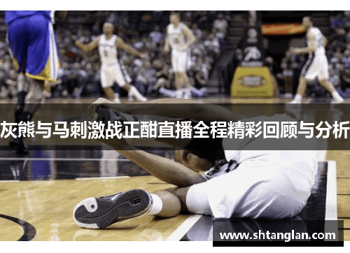 灰熊与马刺激战正酣直播全程精彩回顾与分析